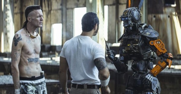 Chappie (foto: Falcon)