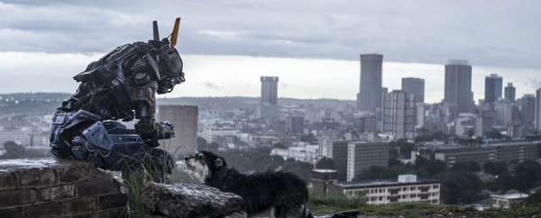 Chappie (foto: Falcon)